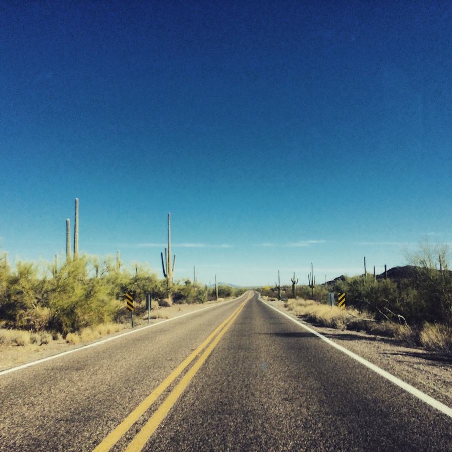 Solo Trip to Scottsdale: A Host's Plan for One